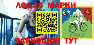 гашик Можга