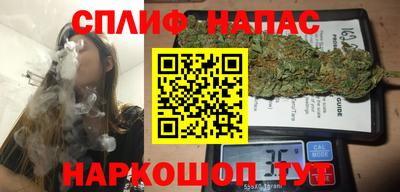 гашик Можга