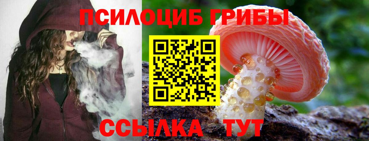 Псилоцибиновые грибы прущие грибы  Вход с VPN  Сосновоборск 
